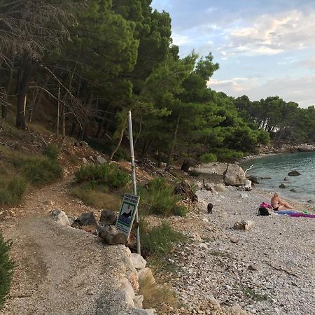Blue Shell Trogir Apartment Ruang foto